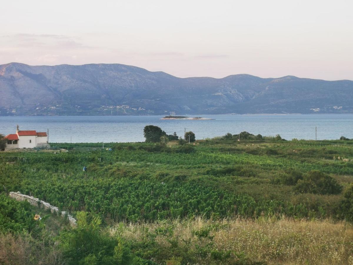 Apartments Vrdoljak Lumbarda Eksteriør bilde